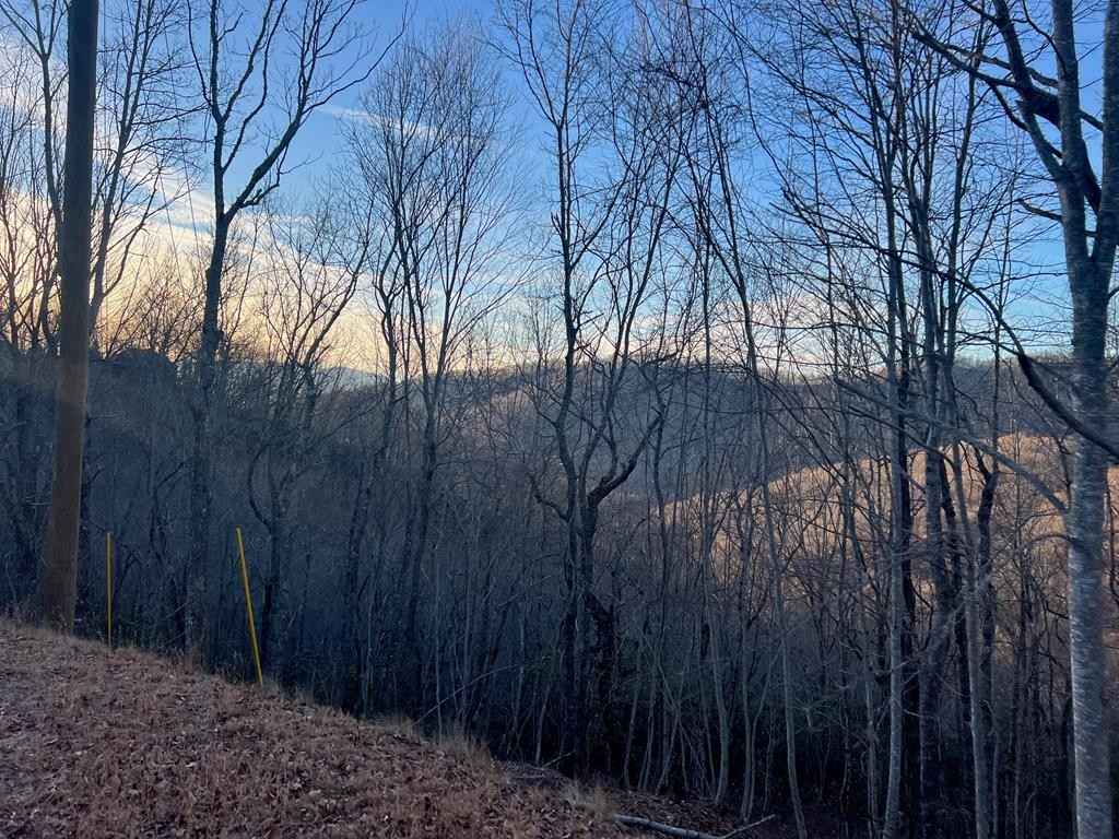 10 Brush Creek Mtn Rd  