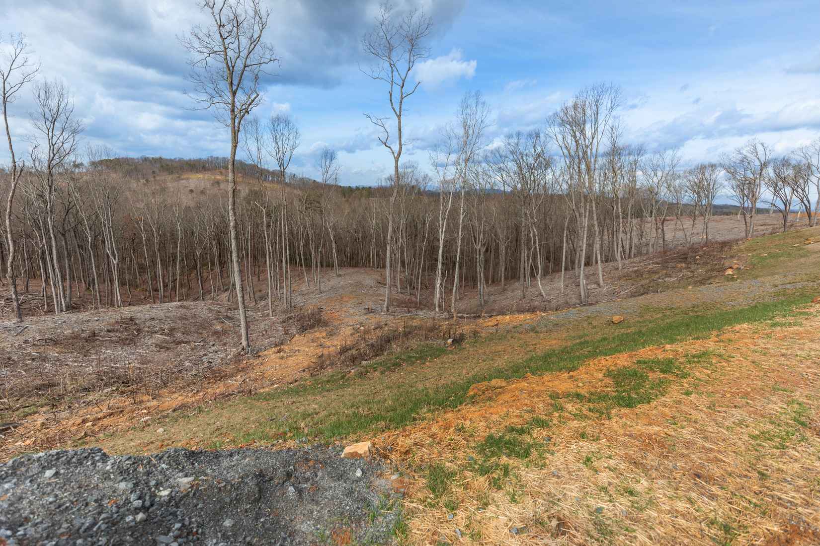 LOT 292 Highgrove Dr  