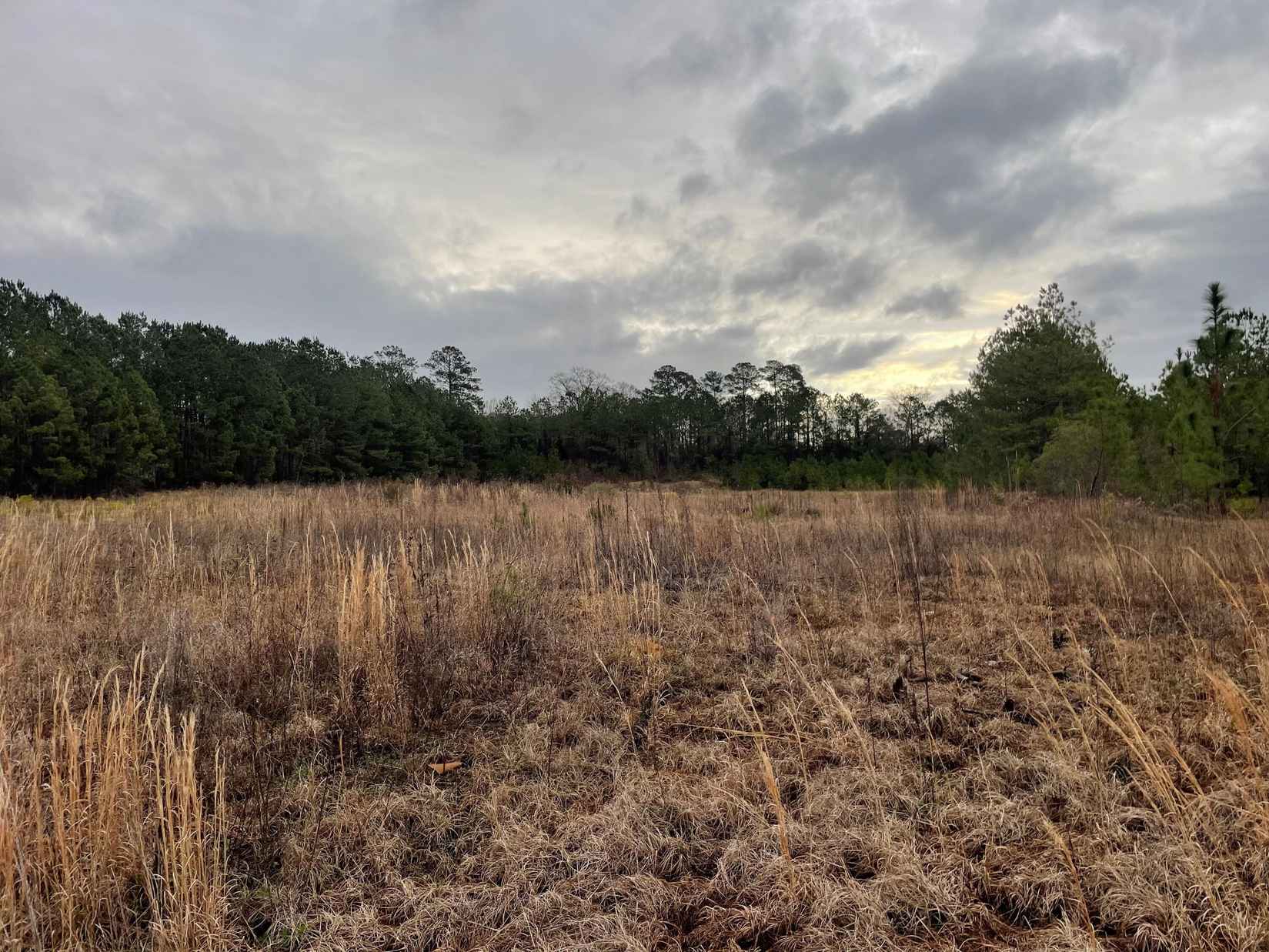 Lot 9 Sumrall Rd  