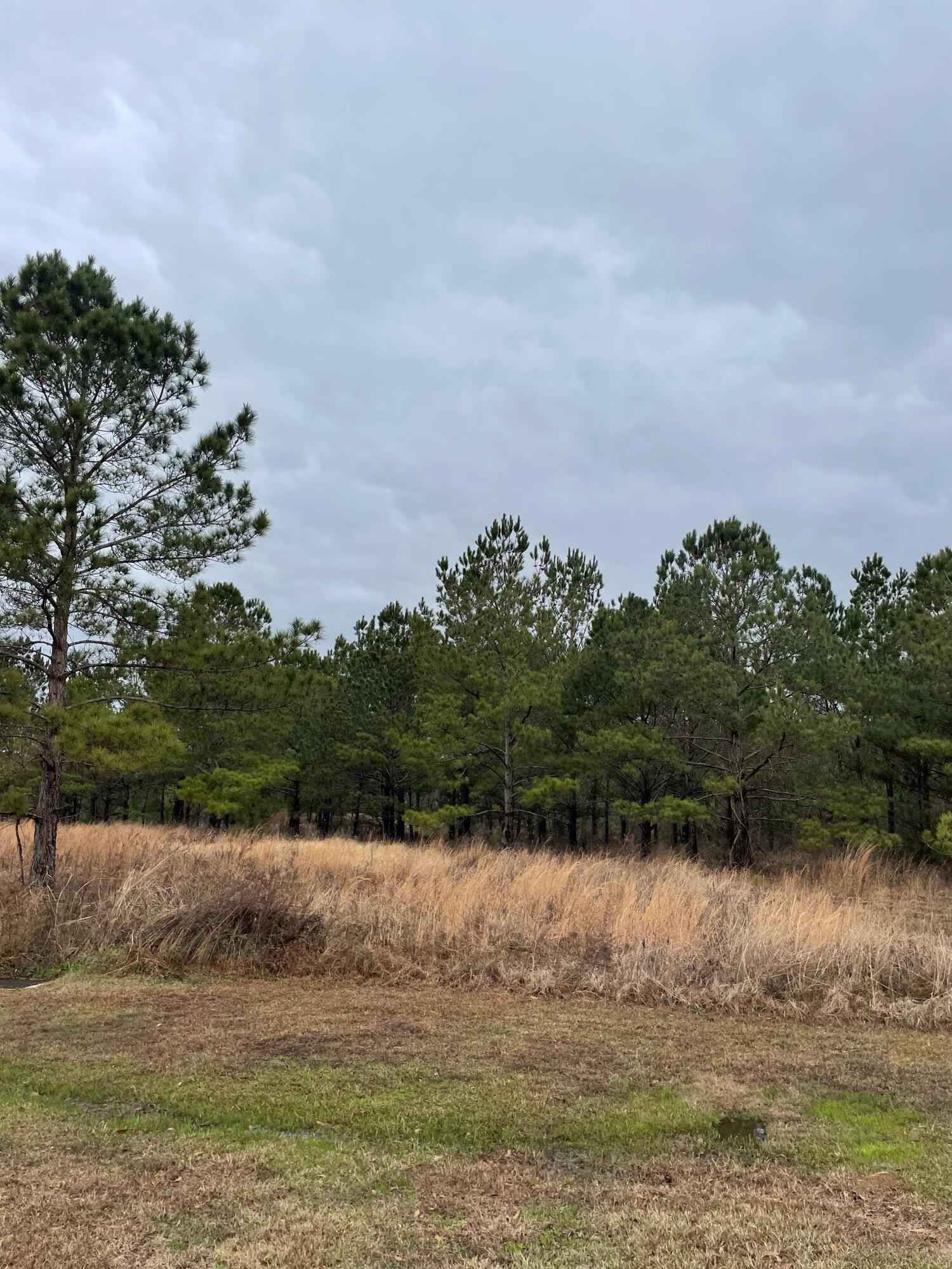 Lot 12 Sumrall Rd  