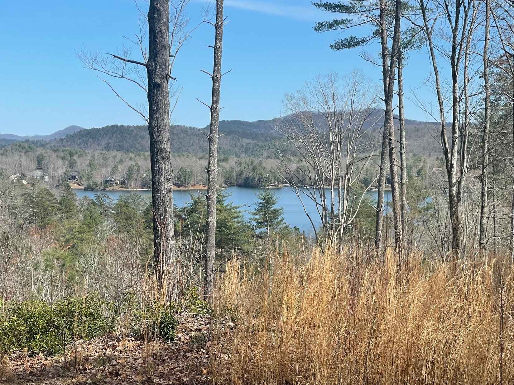 NP5 Old Chapman Brg Rd  