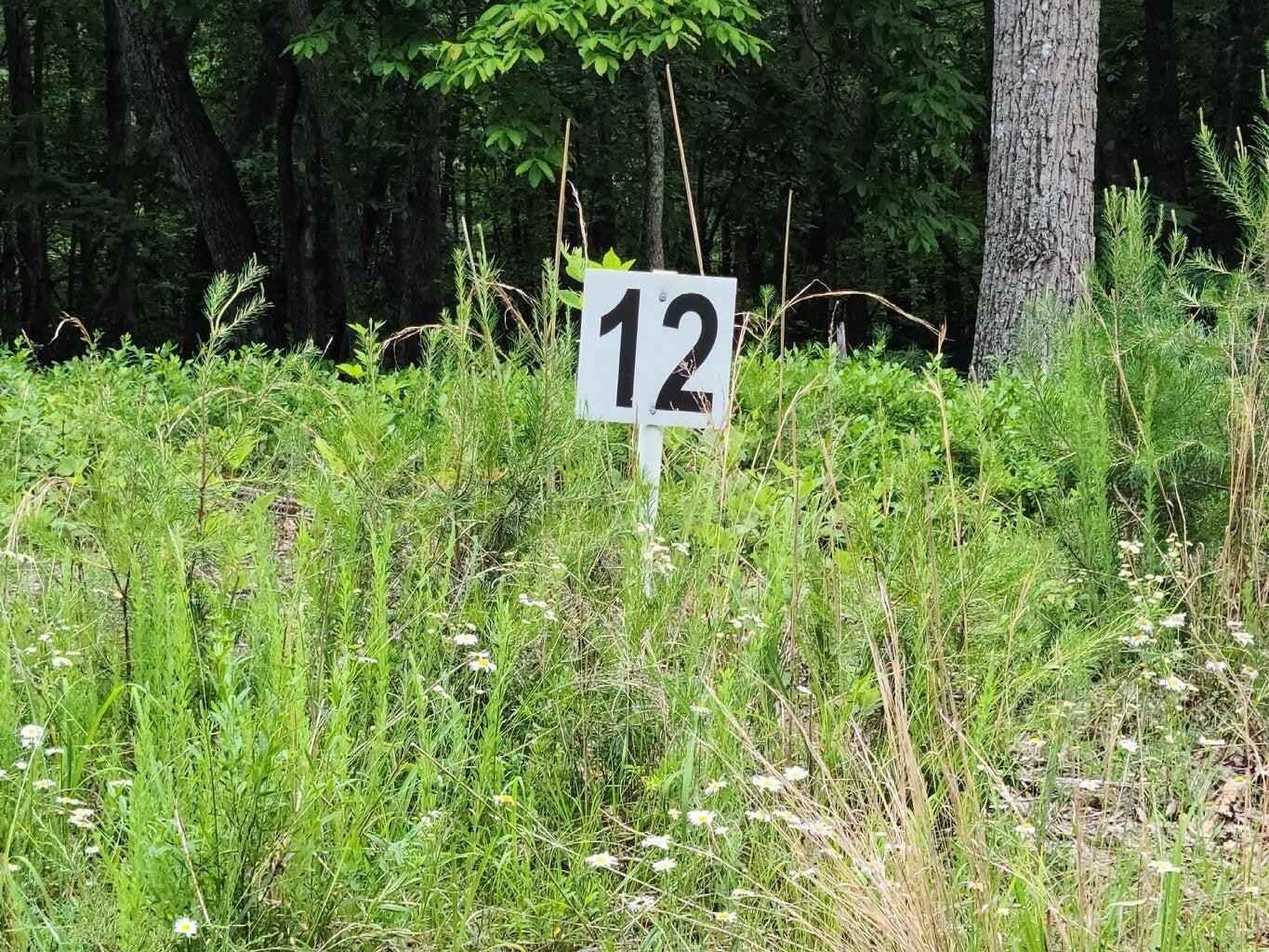 Lot 12 Belle Isle DR  