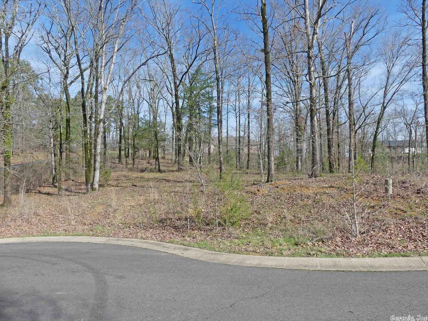 Lot 11 Rose Crk Ct  