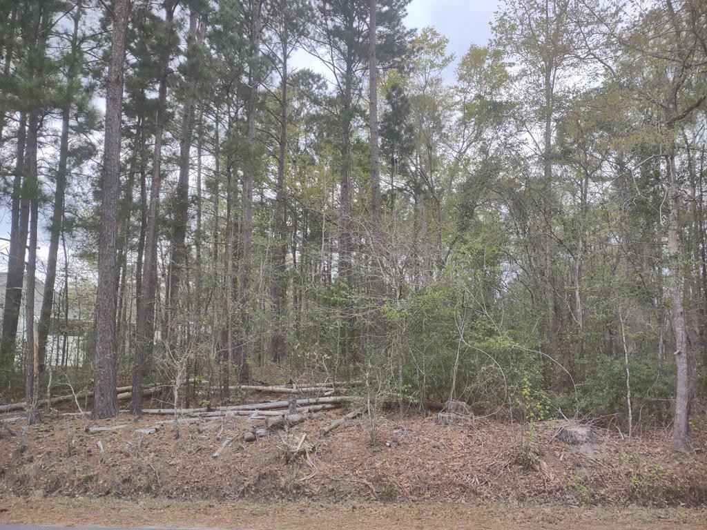 Lot 19 Charles Rd  