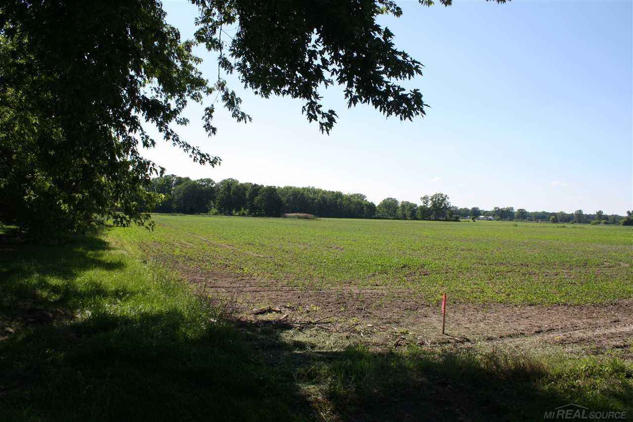 HAVEN Rdg Lot 7  