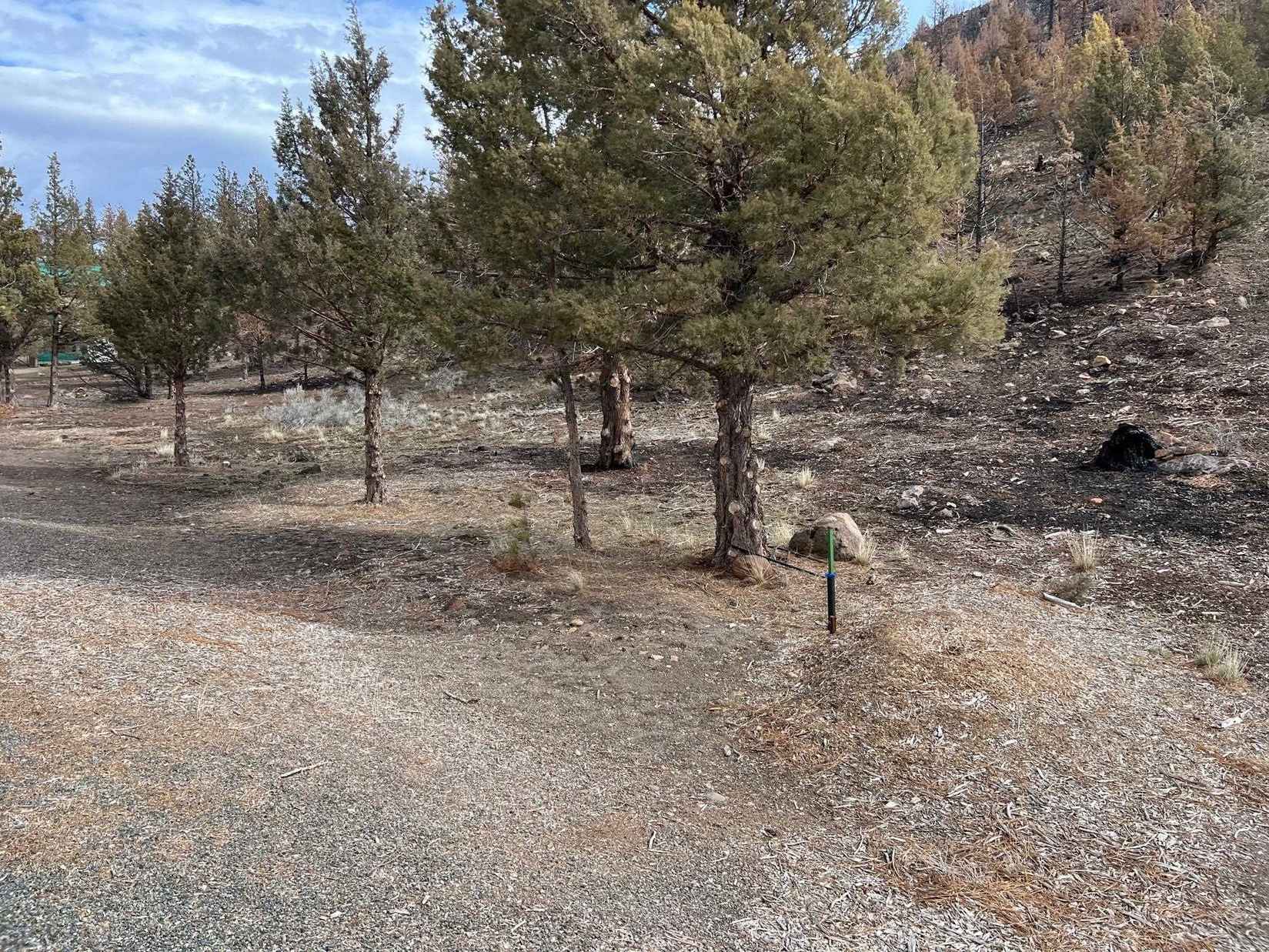 5-4 Lot 114 Mt Blanch Dr  