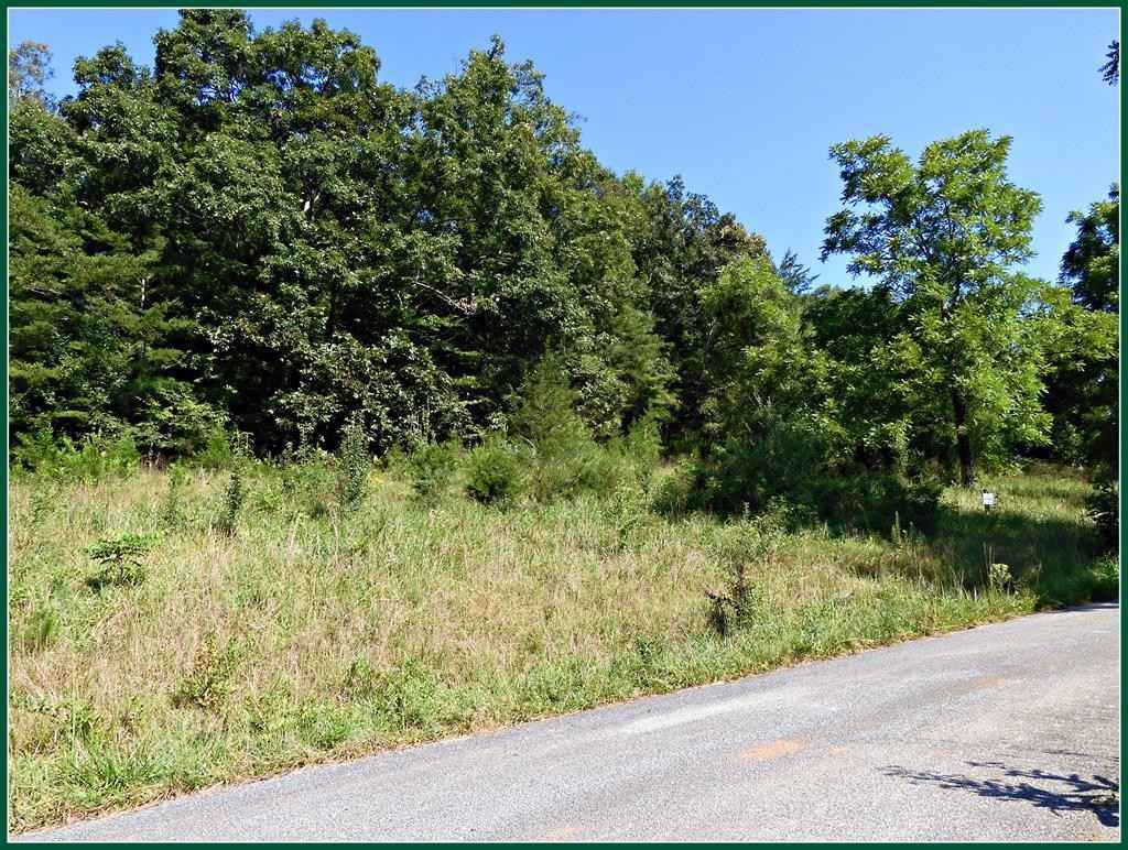 Lot 5 Sawyer CV  