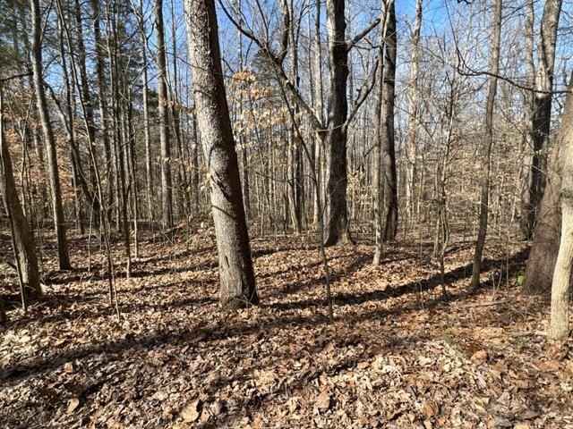 55-56 Old Tobaccoport Rd  