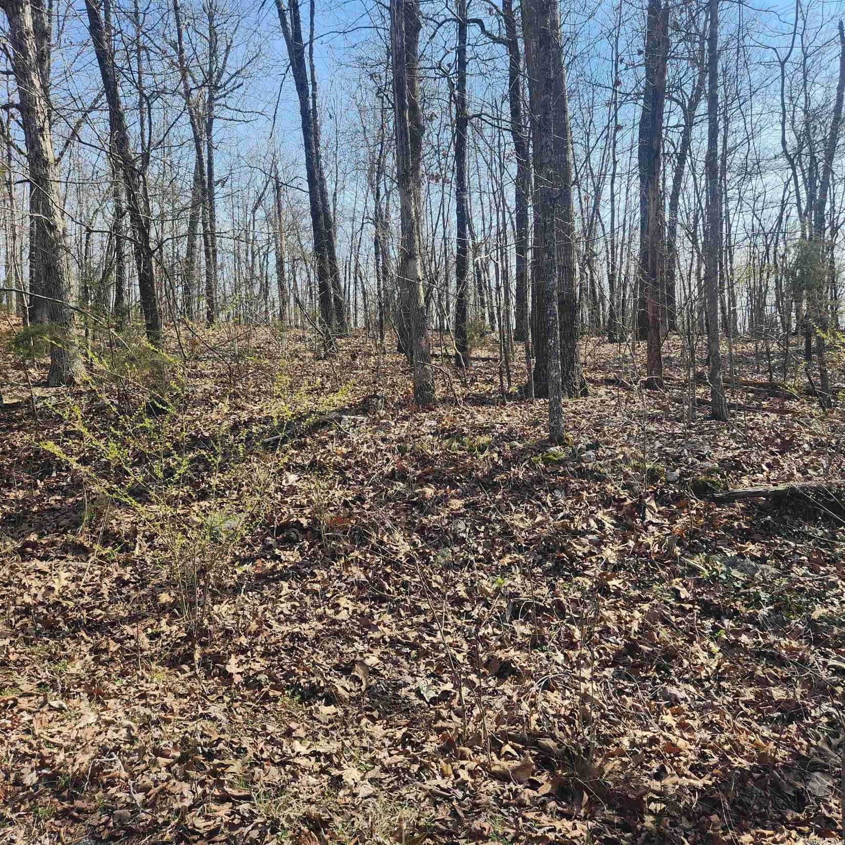 L-4 B-6 Chickasaw Dr  