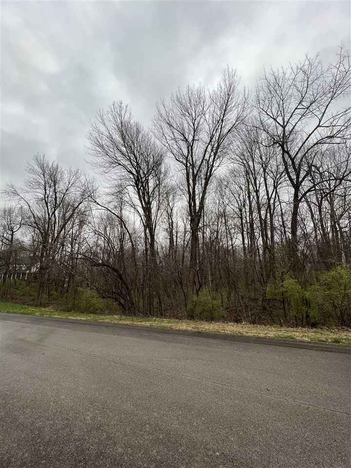 Lot 16 Tanglewood Dr  