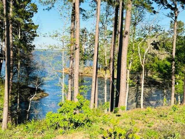 956 Nine Mile Rd  