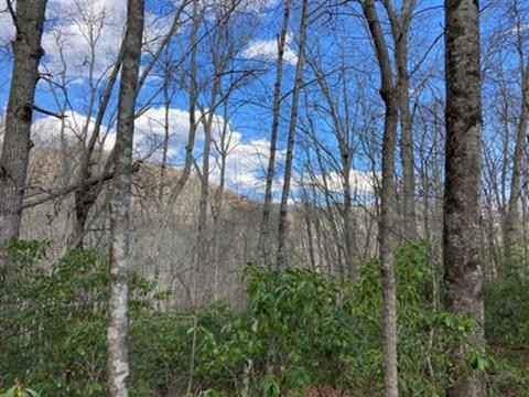 484 OAK Rdg RD  