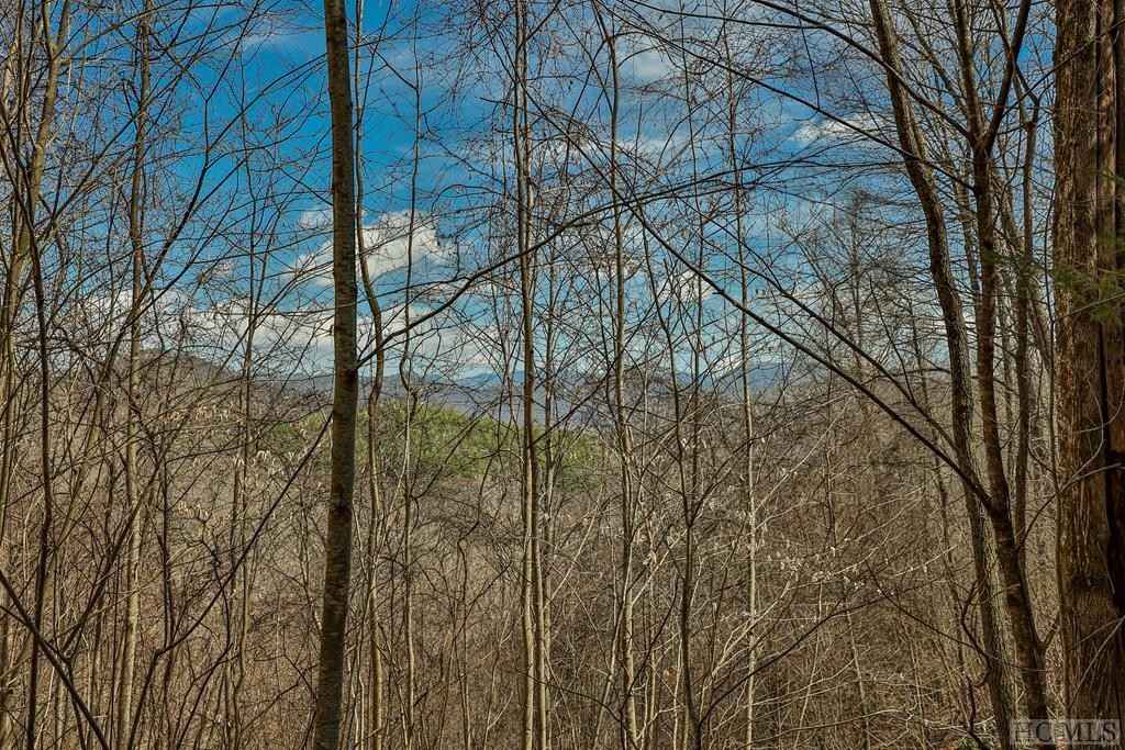 Lot 47 Yellow Palmer Ln  