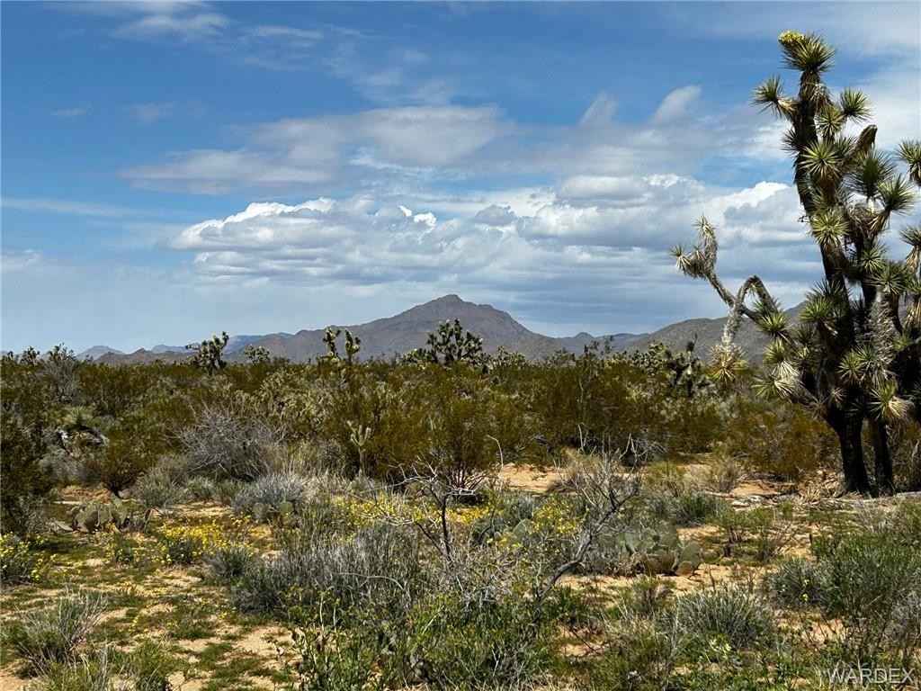 2641 E Creosote  