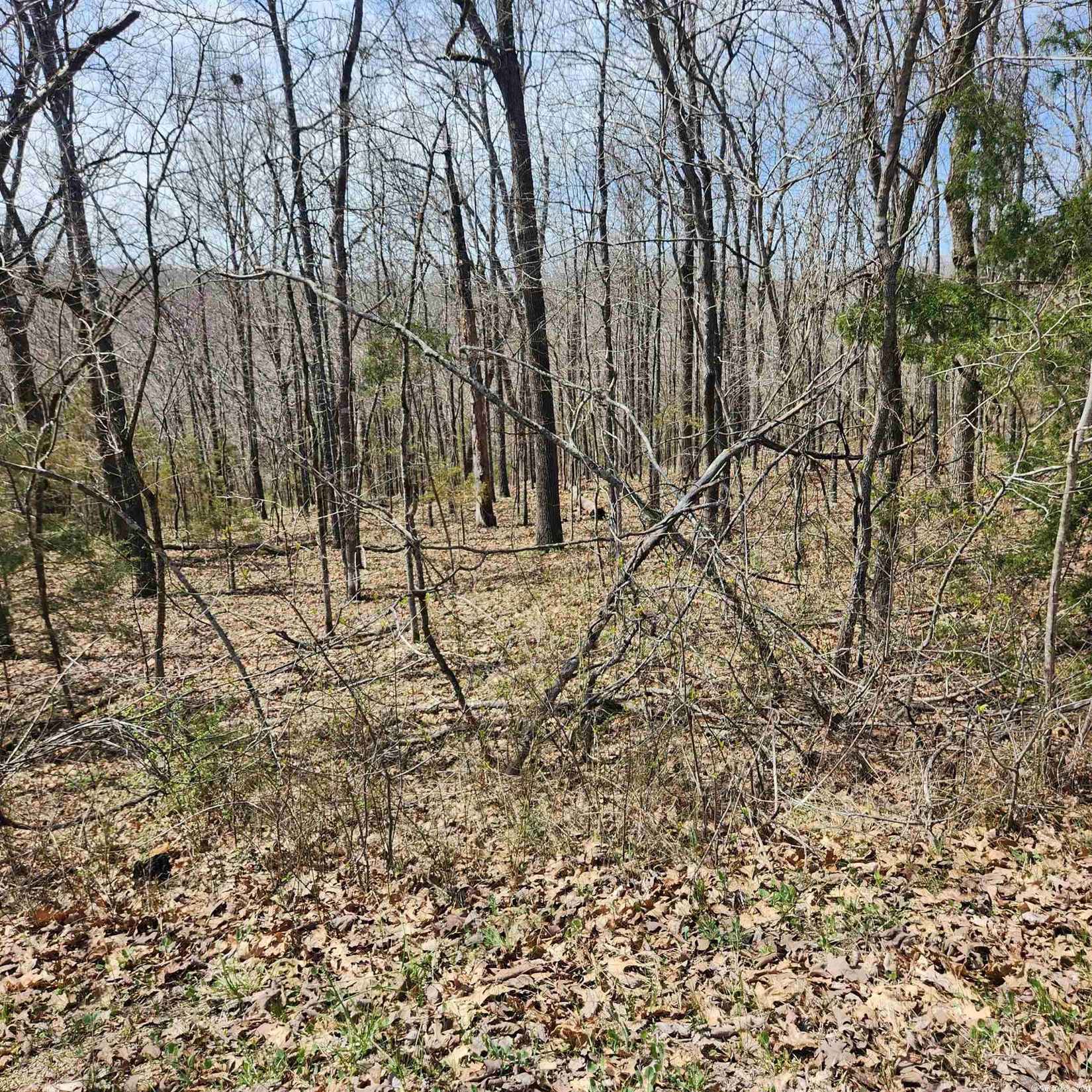 L-2 B-11 Flathead Dr  