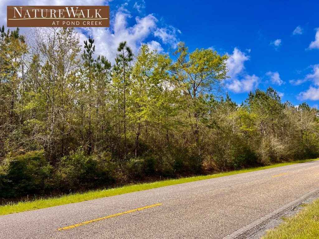 Lot 2 Nature Walk RD  