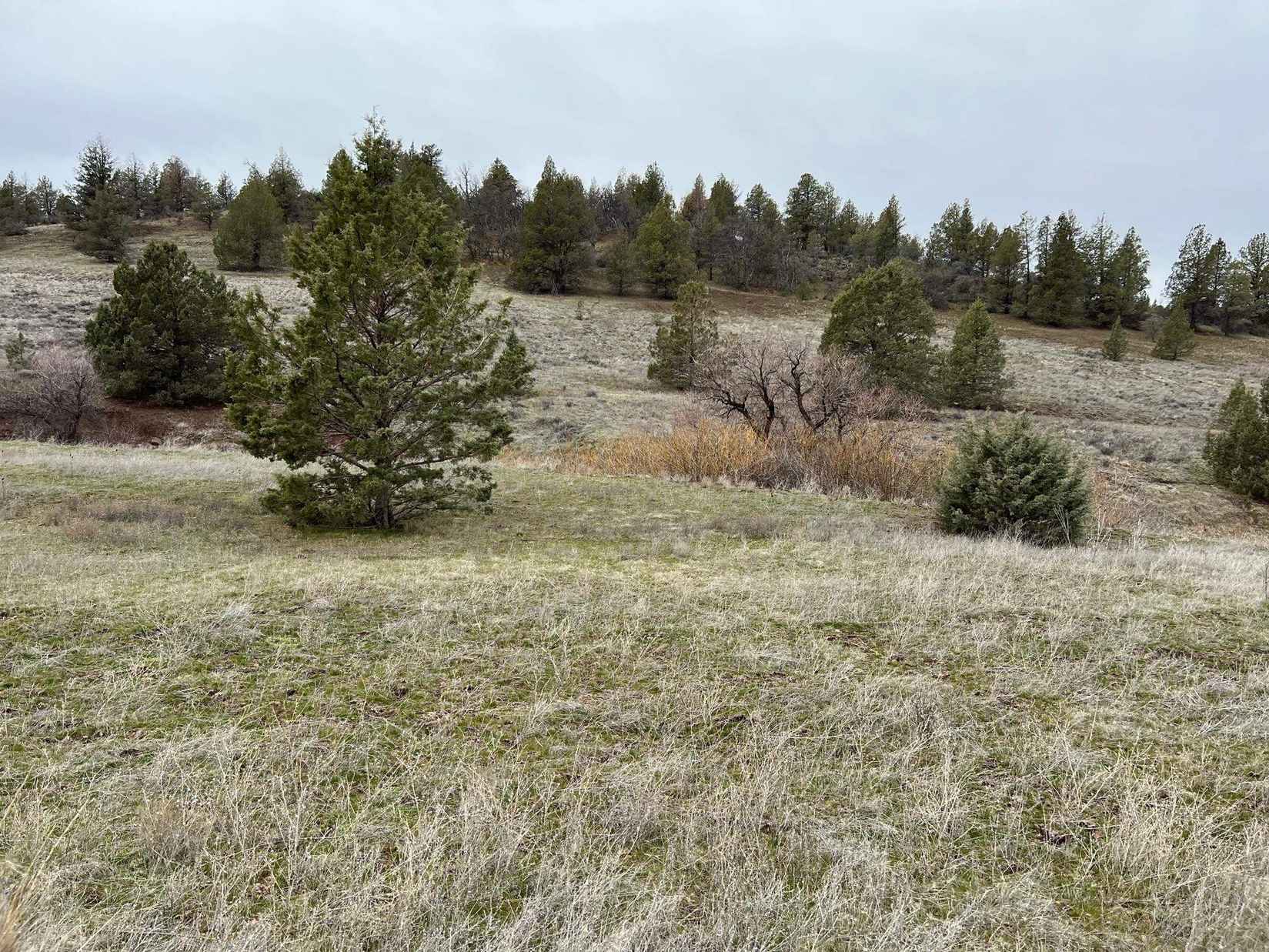 Unit 5 Lot 143 Desavado  