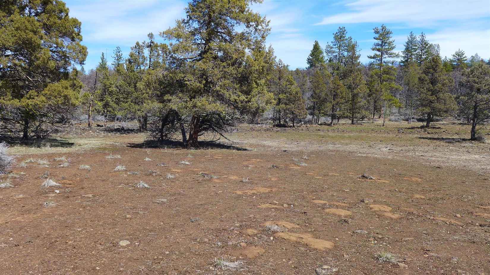 10 Acres Cinder Cone Rd  
