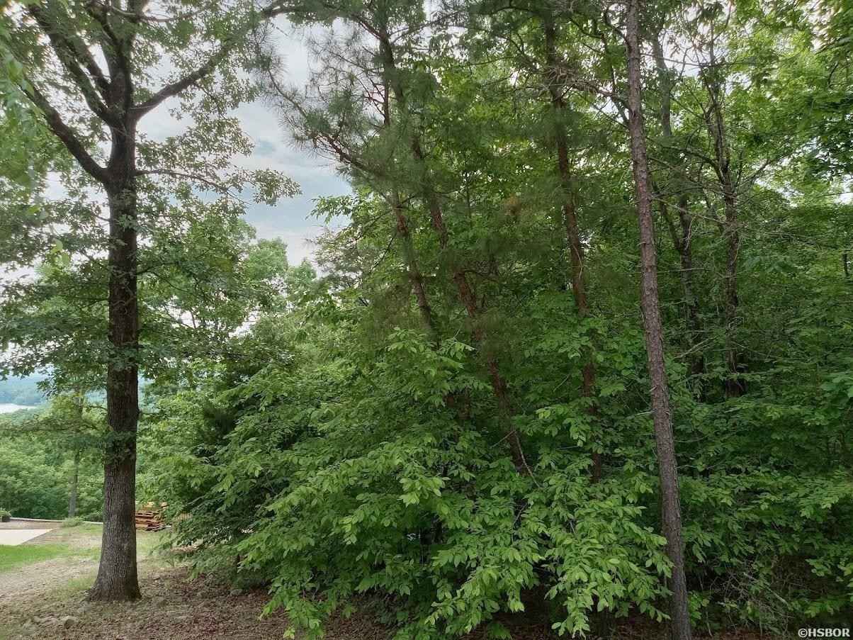 Lot 3674A OHIO  