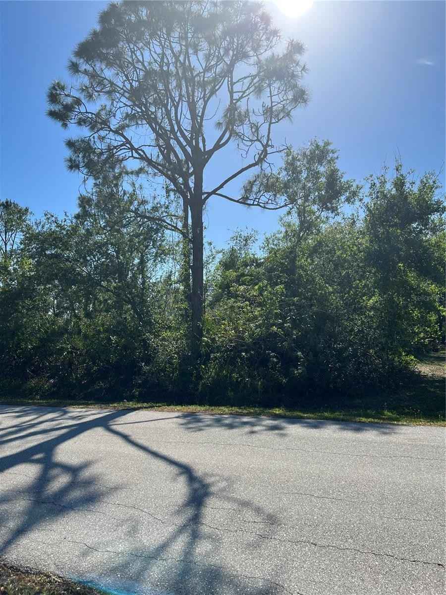 12229 POINDEXTER Ave  