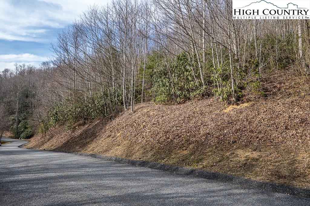 Lot 92 Tbd Beaver Dm Rd  