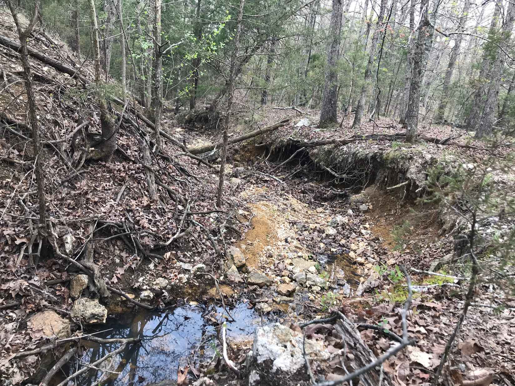 80 acres Walking Stick Rd  