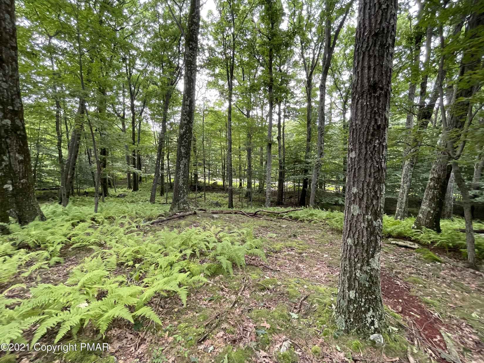 Lot 63 SKYLINE Dr  