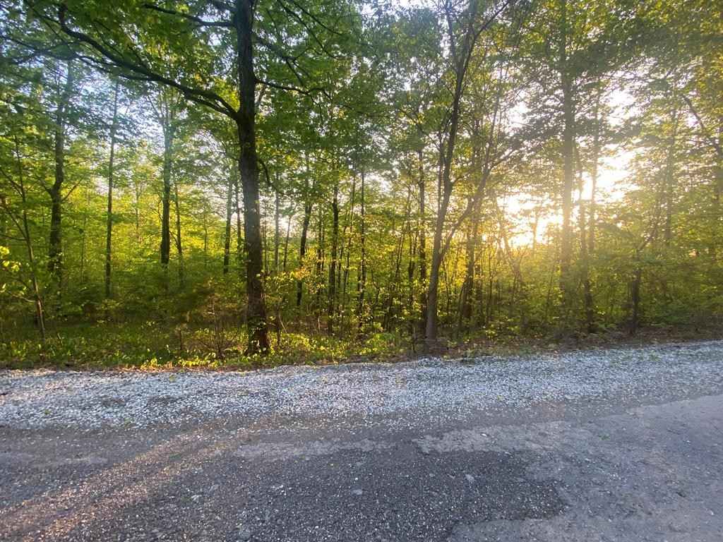1 88ac N Pointe Trl  