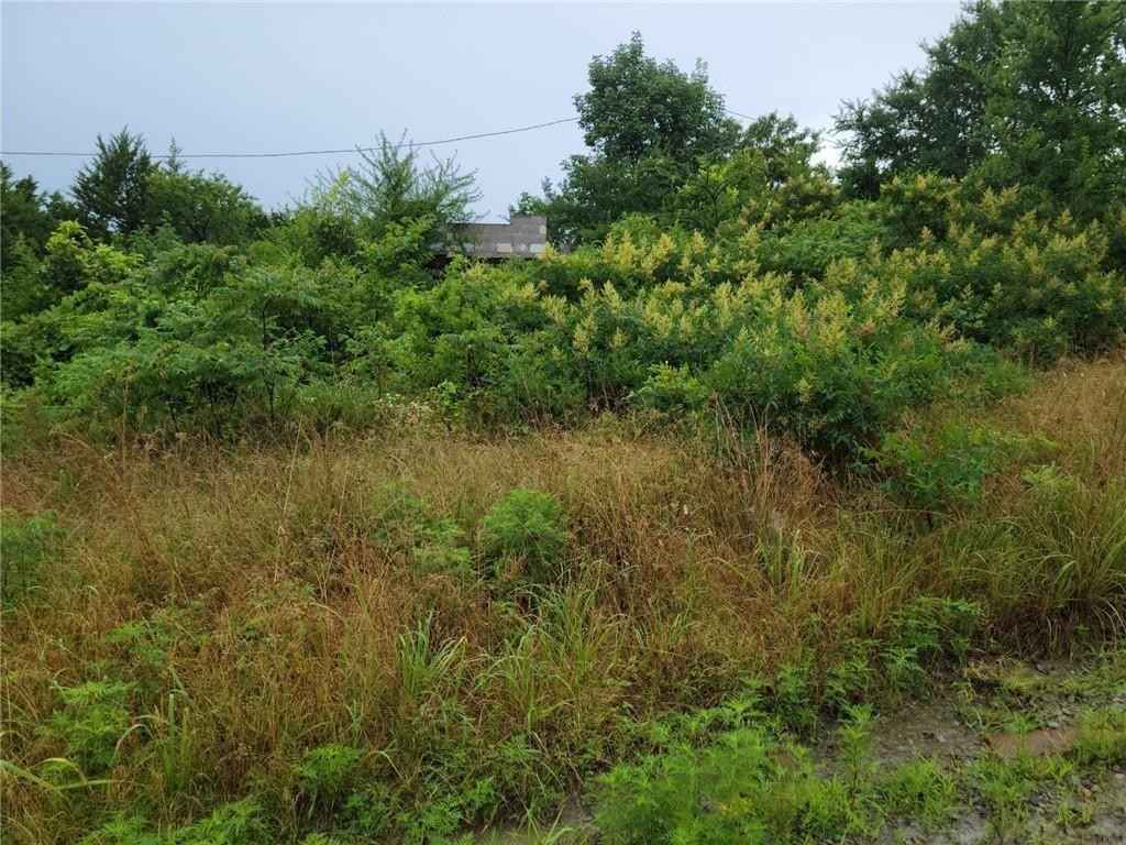 000 Lemon Piney Creek 4 St  