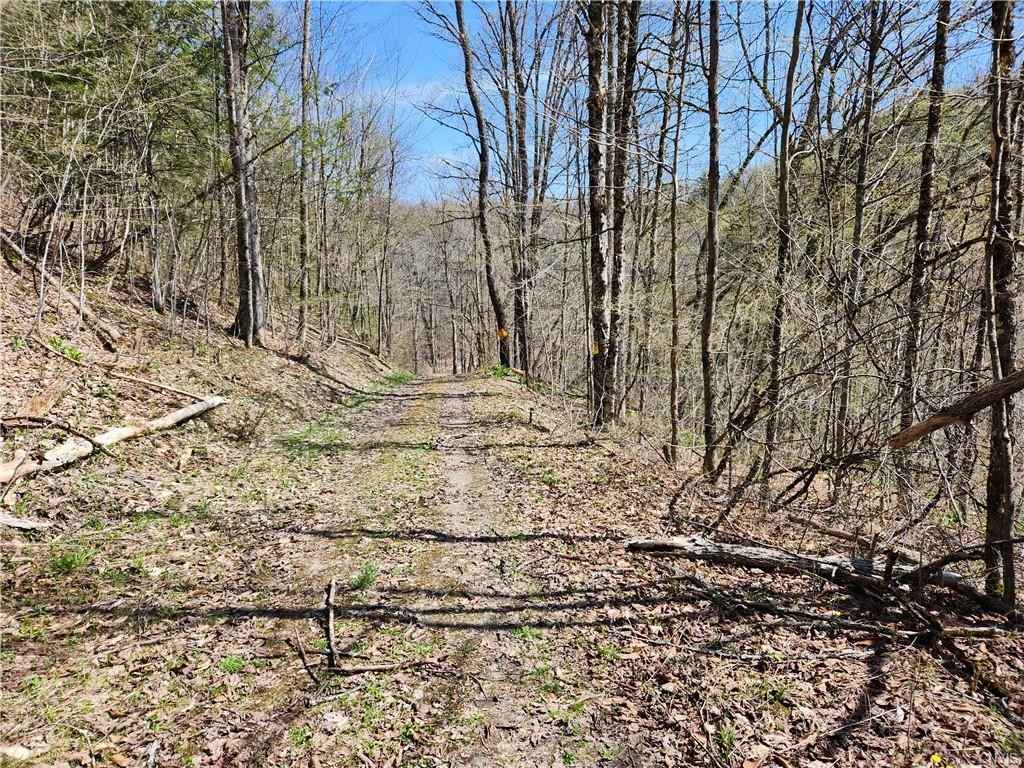 00 Bowie Rd  