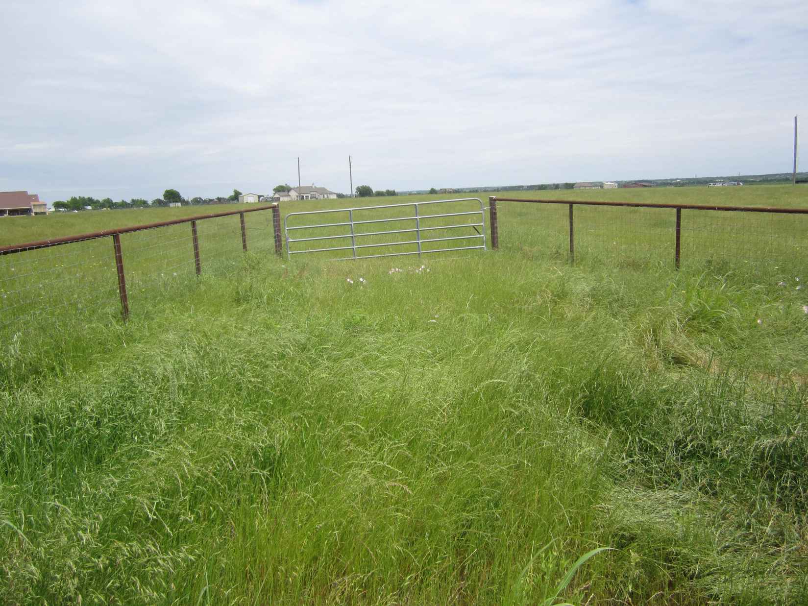 1950 County Rd 470  