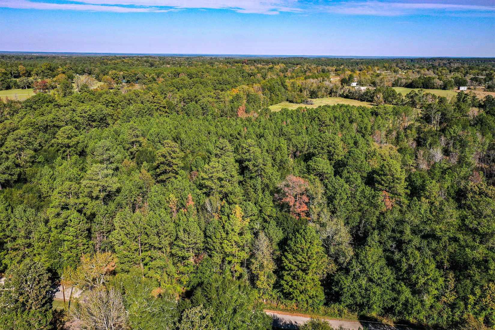 Tract 3 Hank Benge Rd  