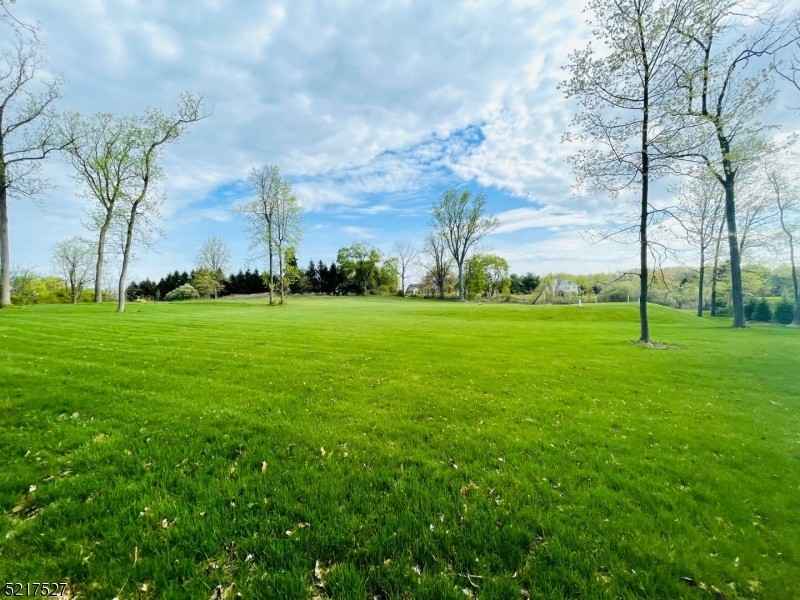 10 Charlotte Hl Dr  