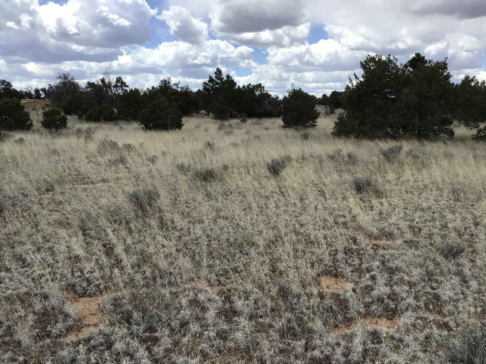 Lot 38 Country Ln  