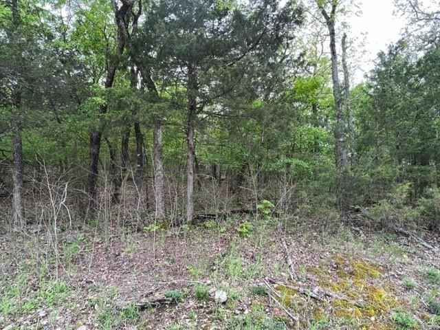 136 Table Rock DR  