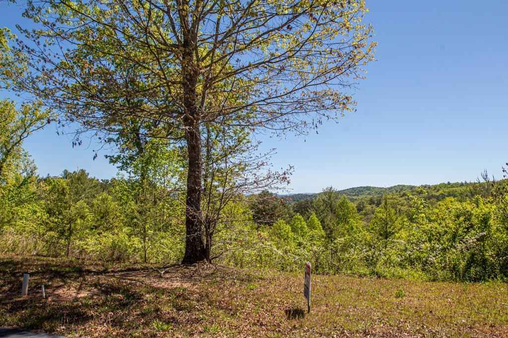 Lot 14 Haley Cierra Dr  