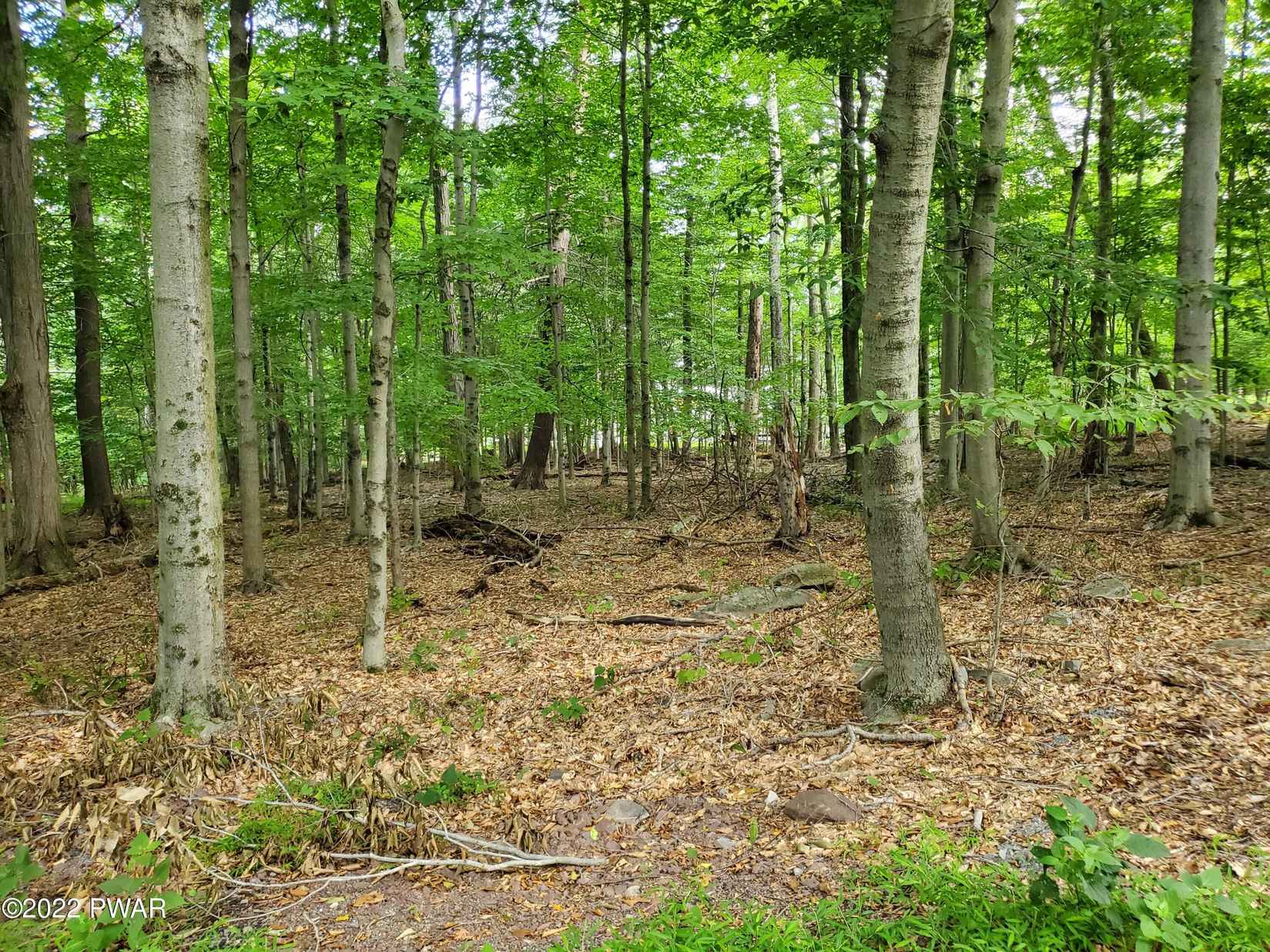 Lot 686A Hickory Ln  