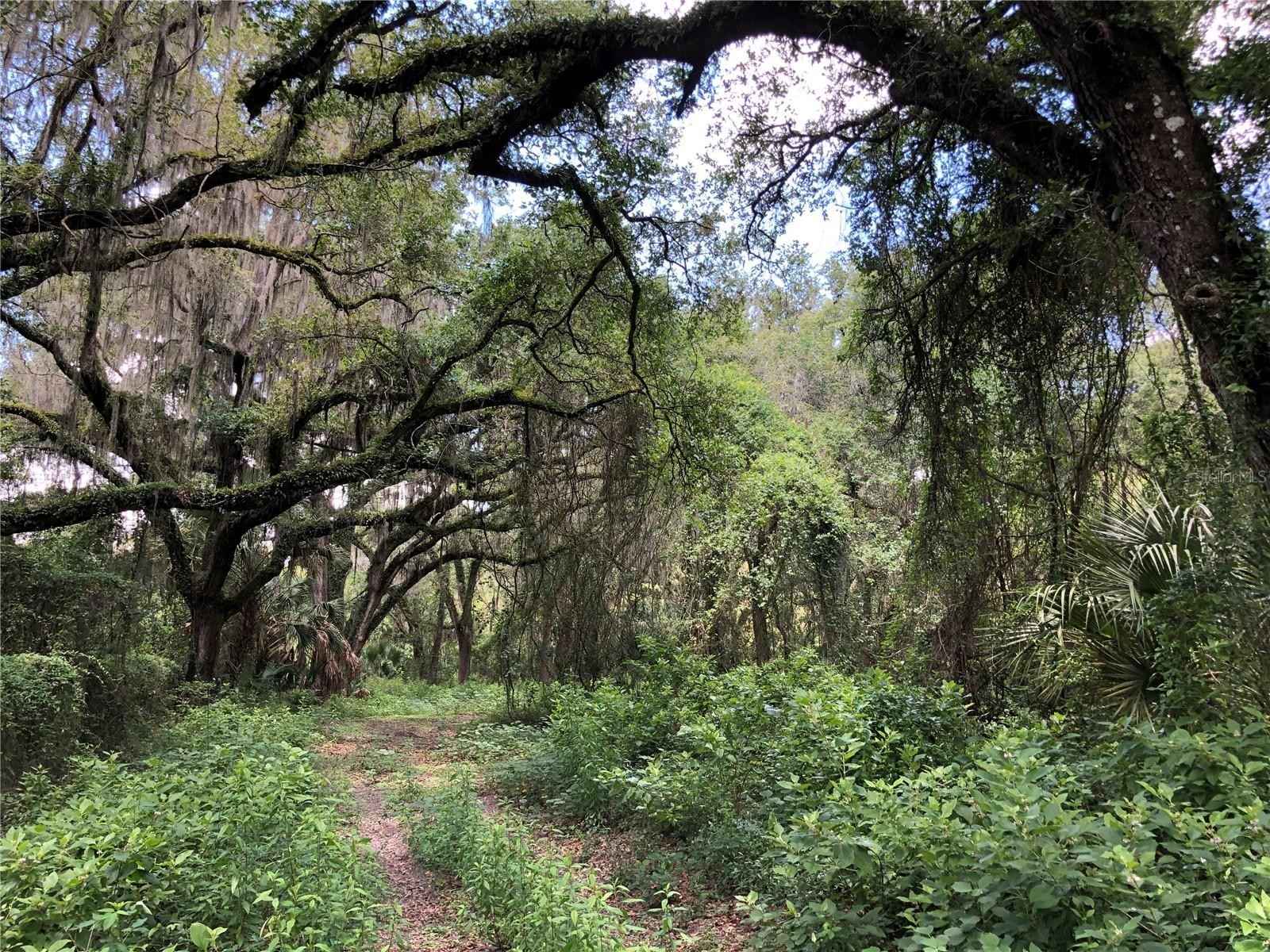 7239 S COUNTY LINE Rd  