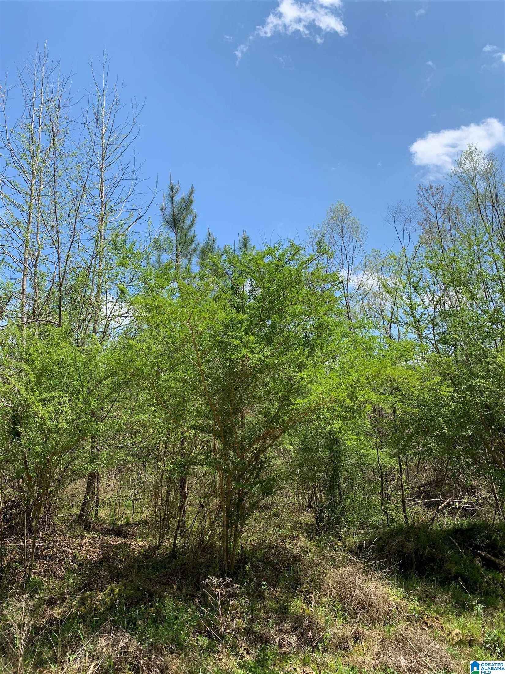 0 CAHABA Hl Rd  