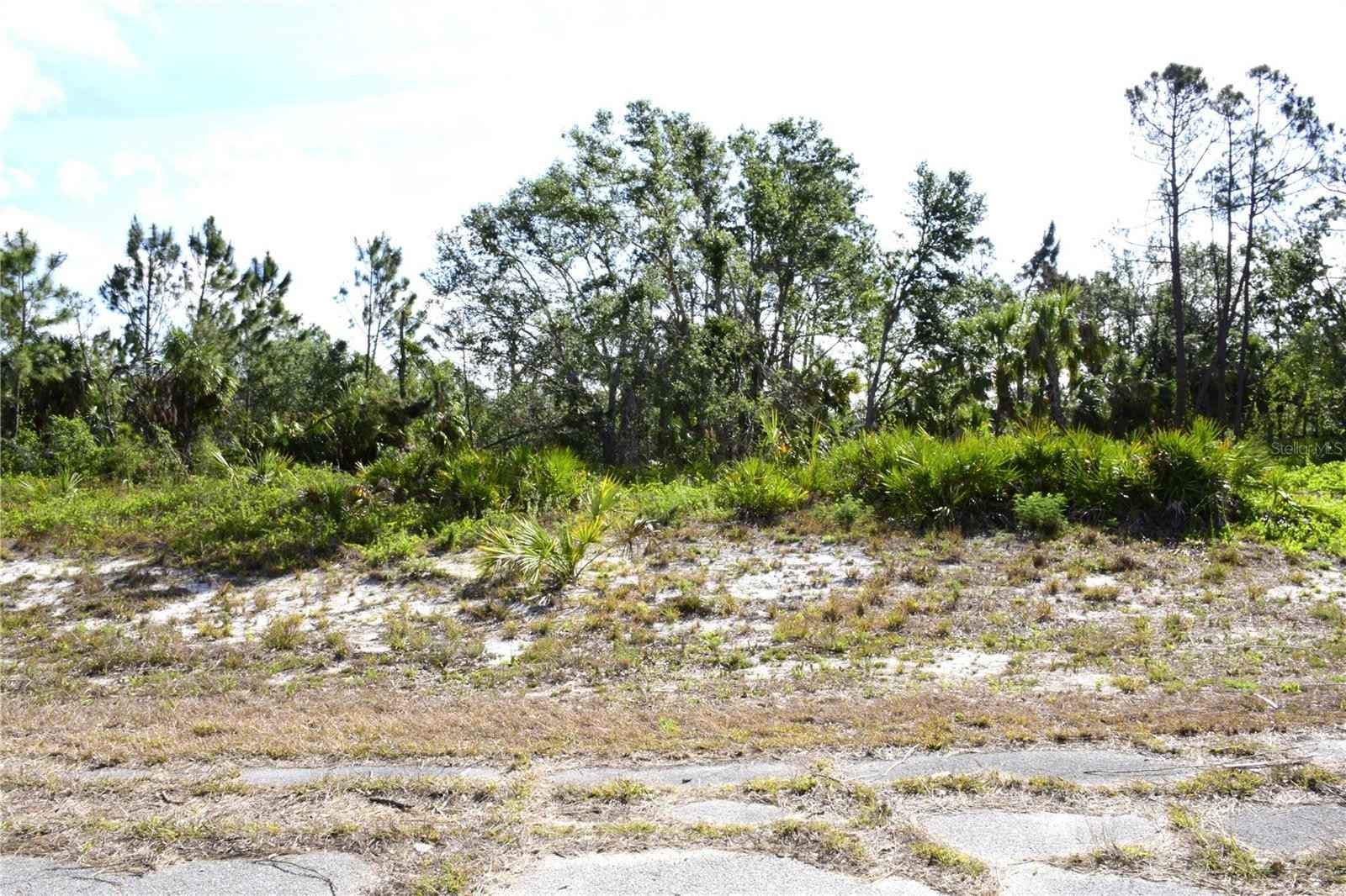 Lot 10 Winterville Cir  