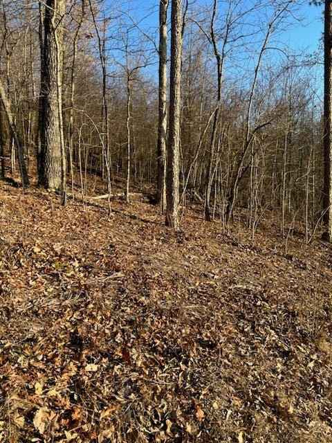 Lot 11 Bell Rd SE  