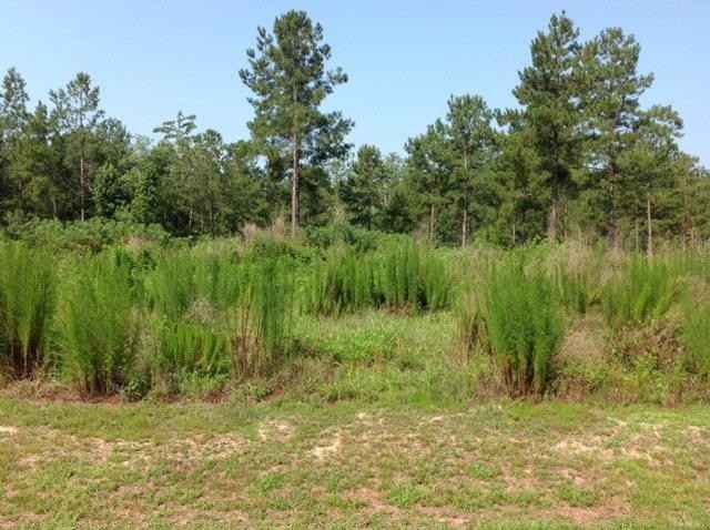 Lot 45 Hbr DR  