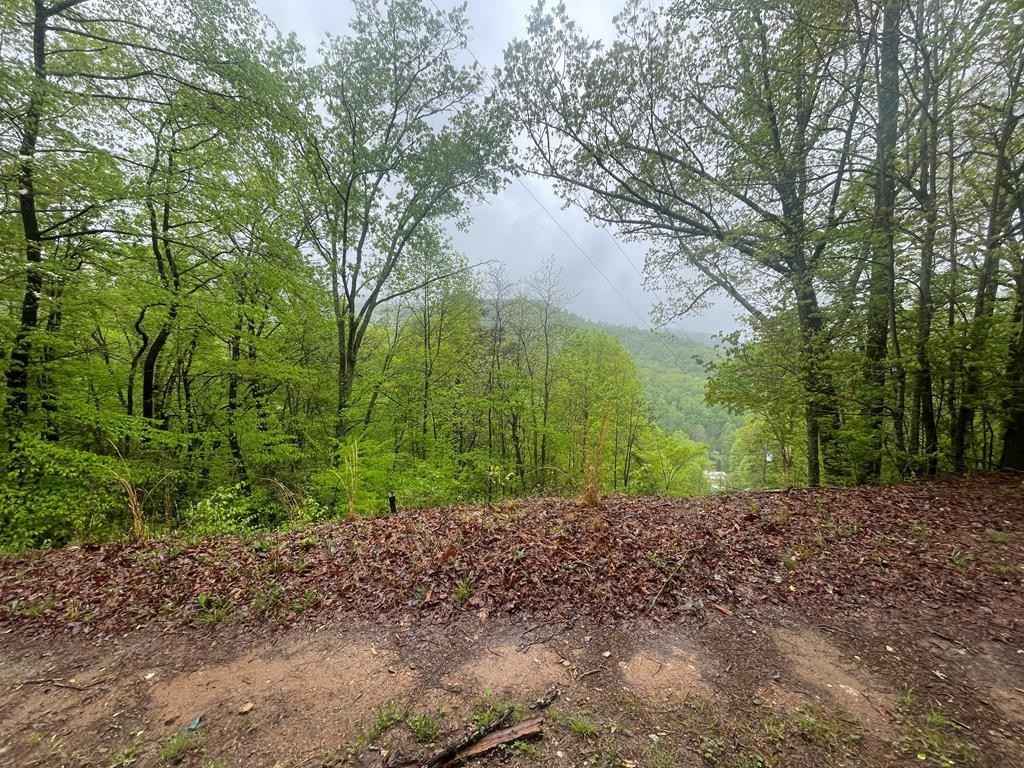 0 Ledford Rd  
