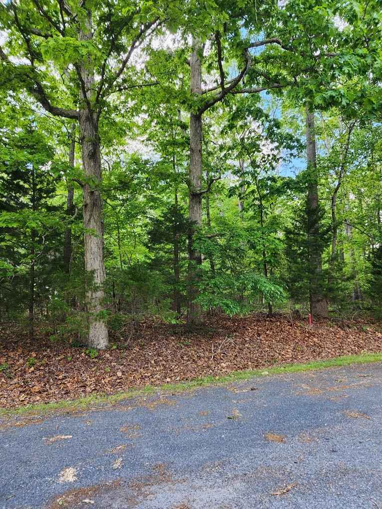 LOT2450 RUDDER CT  