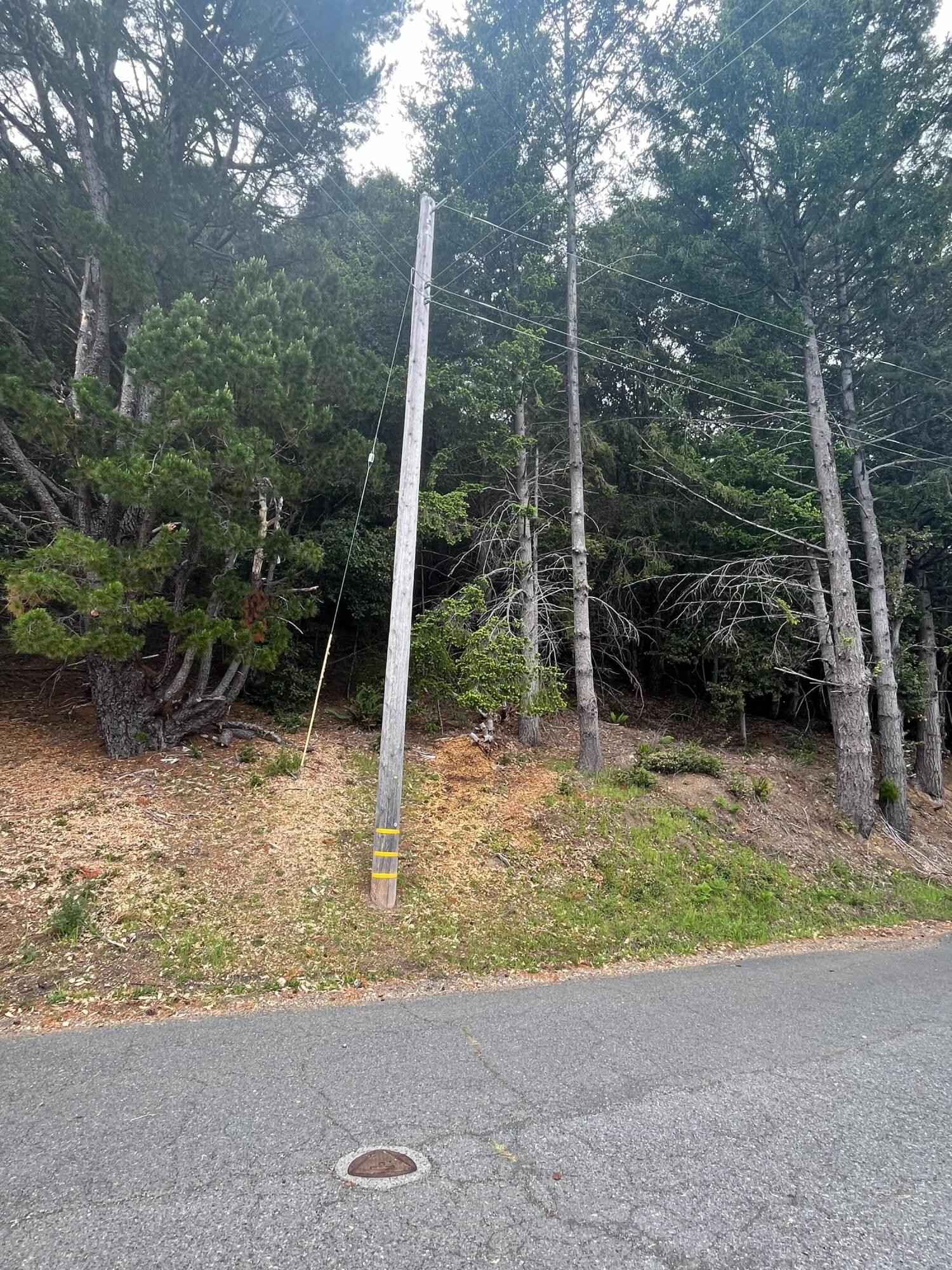 9331 Shelter Cv Rd  