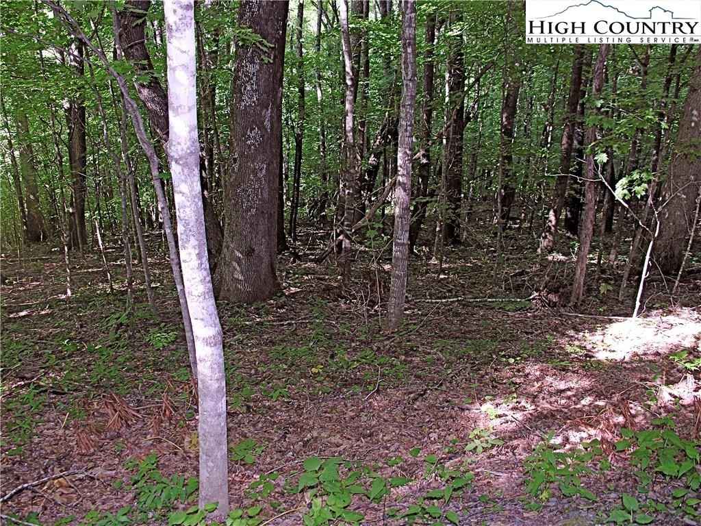 Tbd Lot 24 Walter Godby Rd  