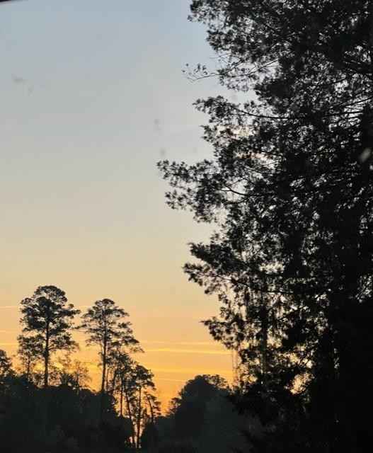 lot 44 S/R SD Scenic Rt  