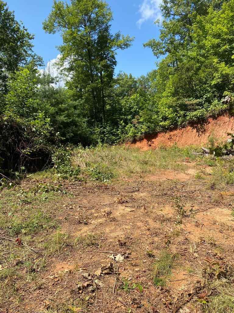 Lot 4 Red Dog Ln  