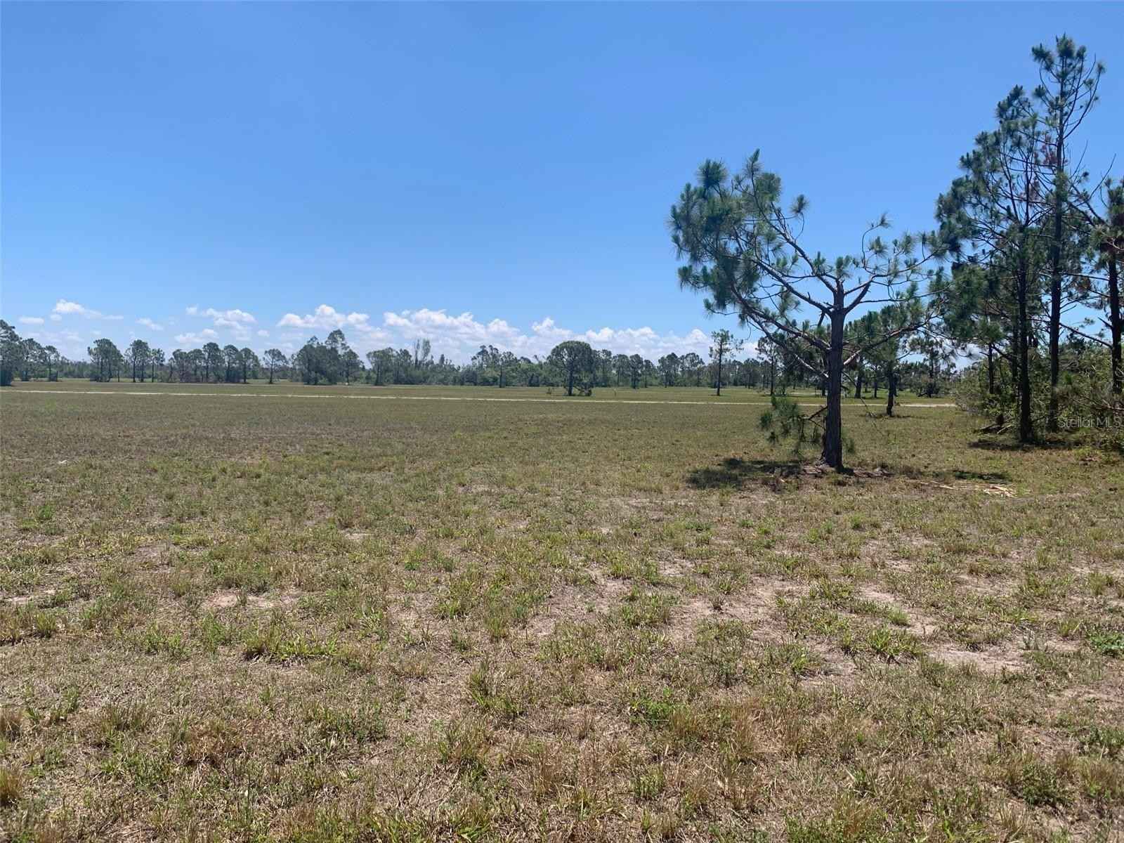 14481 BLUE MARLIN Rd  