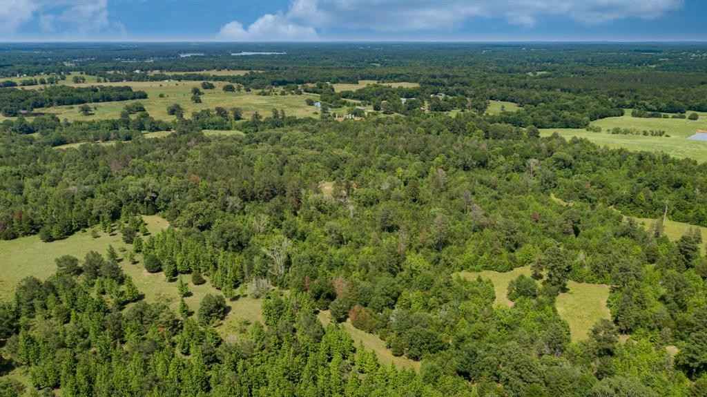 Tbd 10 Acres Tr 3 1301 FM 2966  